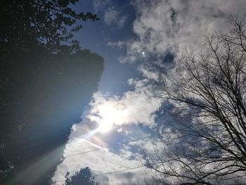 Low angle view of trees against sky