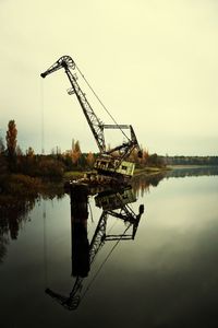 Reflection of trees in water