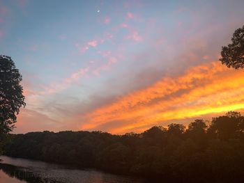 Low angle view of silhouette trees against sky during sunset