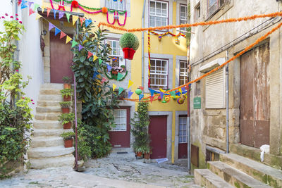 Potted plants outside building