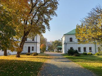 Road amidst trees and buildings against sky
