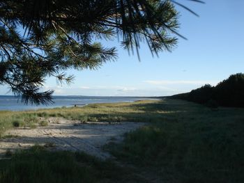 Scenic view of beach and sea against sky