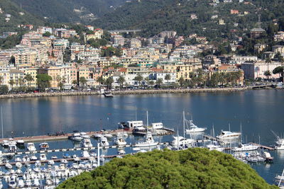 View of boats in harbor