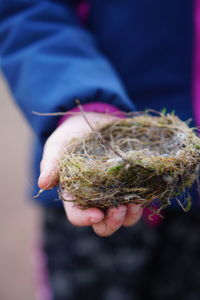 Close-up of hand holding food