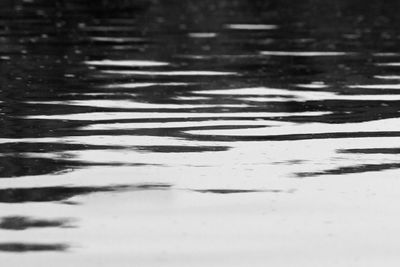 Close-up of puddle in water