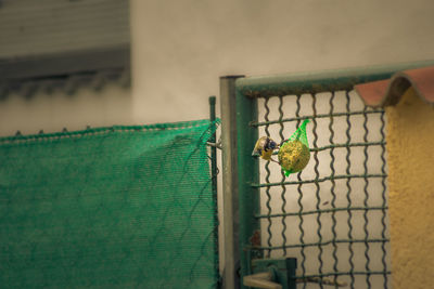 View of bird perching in cage