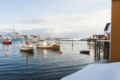 Boats in harbor