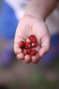 Close-up of hand holding strawberry