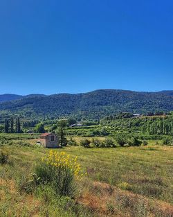 Scenic view of field against clear blue sky