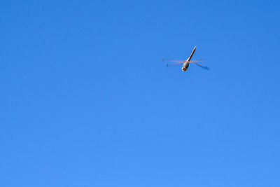 Low angle view of airplane flying in clear blue sky