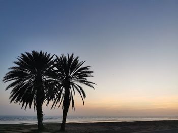 Silhouette palm trees on beach against clear sky at sunset