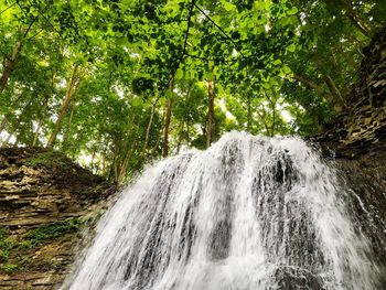 Scenic view of waterfall against trees in forest