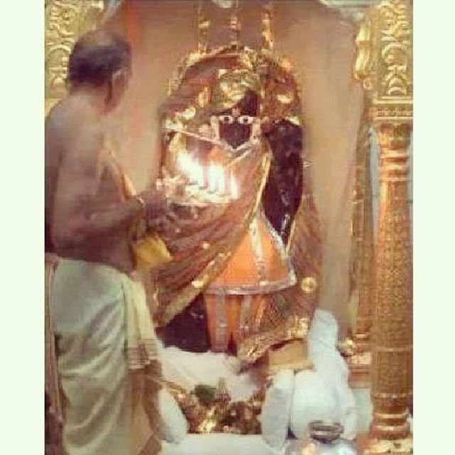 Manglaaarti