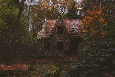 Abandoned house amidst trees and plants in forest during autumn