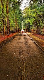 People walking on road