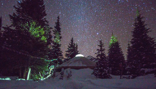 Yurt by trees against star field at night during winter