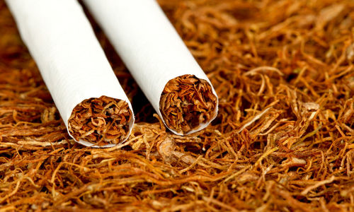 Close-up of cigarettes on herb