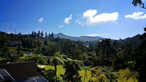 Scenic view of landscape against cloudy sky