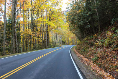 Road amidst trees in forest during autumn
