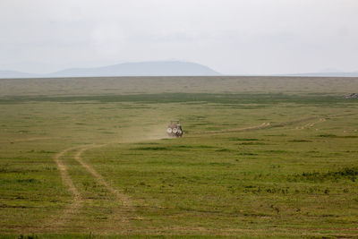 Scenic view of farm against sky