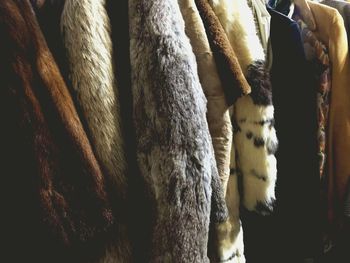 Full frame shot of vintage fur coats