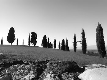 Panoramic view of trees on landscape against clear sky