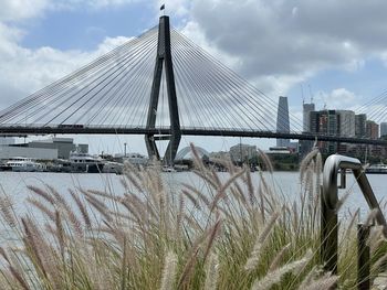 Low angle view of bridge against sky