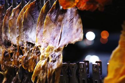 Close-up of food on leaves