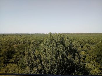 Scenic view of field against clear sky