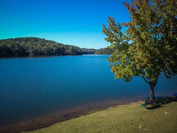 Scenic view of lake against clear blue sky