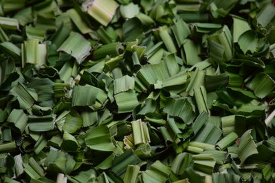 Full frame shot of chopped green leaves