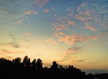 Low angle view of silhouette trees against sky during sunset