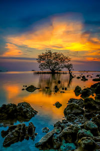 Scenic view of sea against sky during sunset