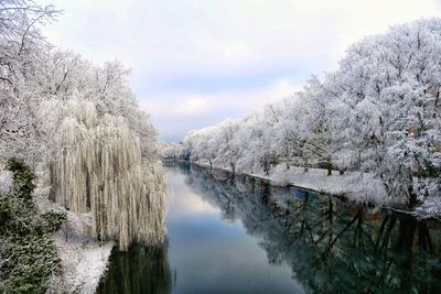 Scenic view of river in forest during winter