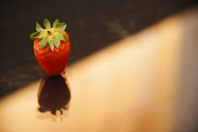 High angle view of orange on table