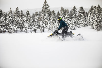 Person standing on snow covered field against trees