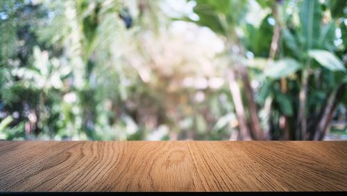 Close-up of wooden table