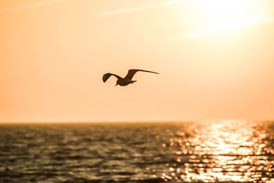 Silhouette bird flying over sea against sky during sunset