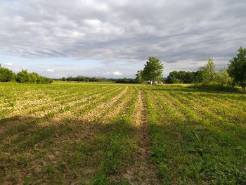 Scenic view of field against cloudy sky