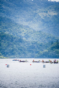 People rowing boats in river at dragon boat festival