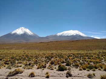 Scenic view of landscape against clear blue sky