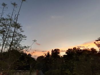 Silhouette trees on field against sky during sunset