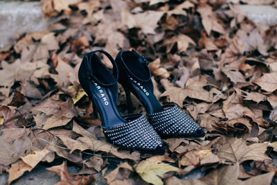 High angle view of shoes on dry leaves on field