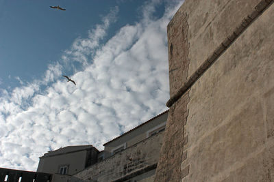 Low angle view of bird flying over building against sky