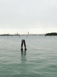 Men in sea against clear sky