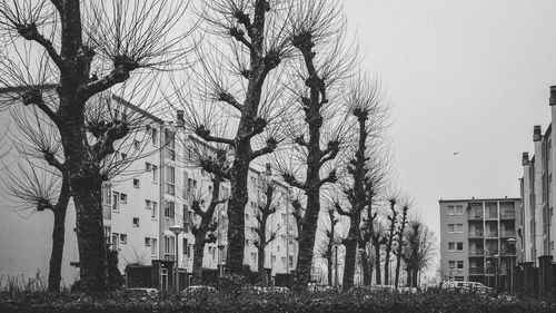 Low angle view of trees against sky