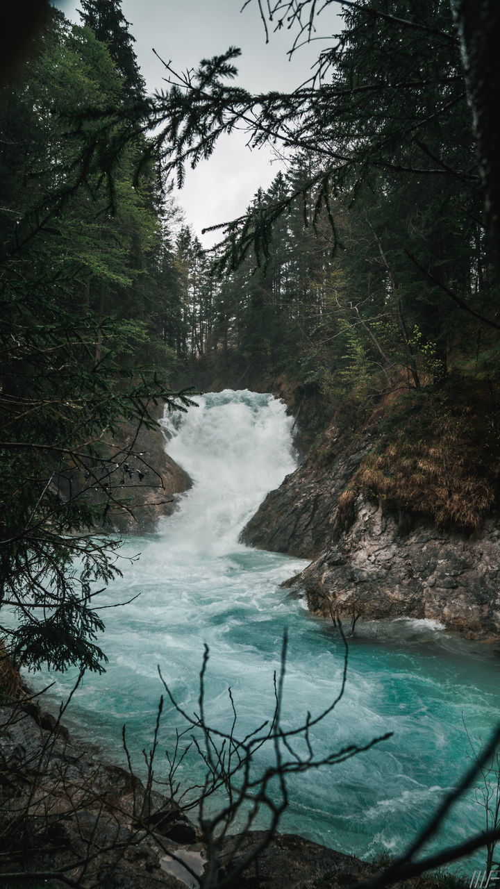 SCENIC VIEW OF WATERFALL AGAINST TREES