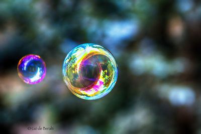 Close-up of bubbles