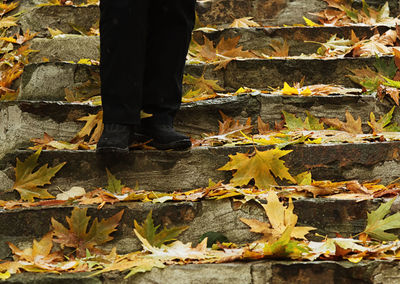 Low section of man standing on steps