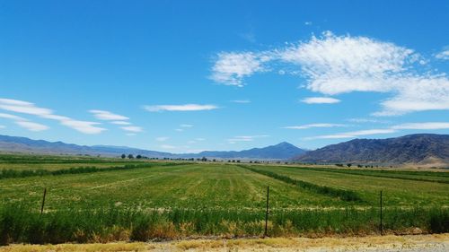 Scenic view of landscape against cloudy sky